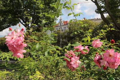 Sommer in Berlin